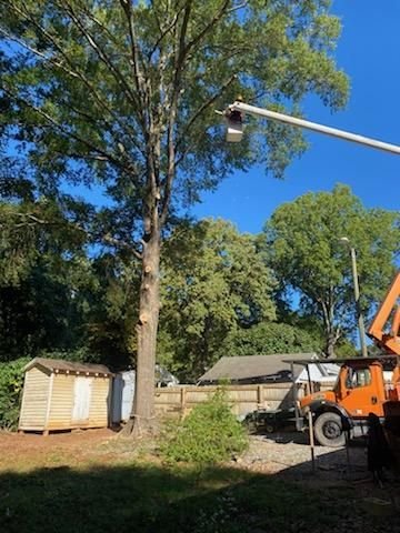 Bucket truck taking a tree down in sections beside a house