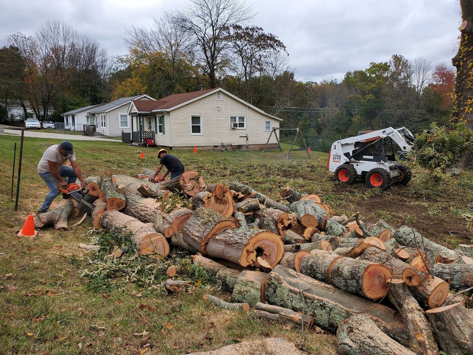 Crew and a skid steer working through sectioned trunk rounds stacked on a front lawn
