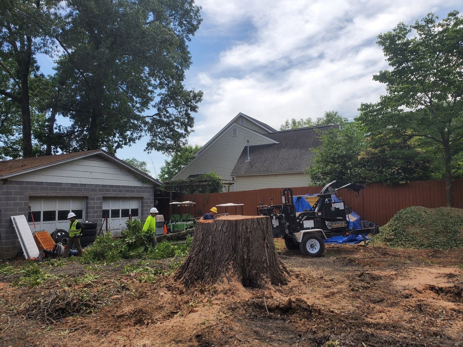 Large oak stump left standing in a yard with the crew and chipper working behind it