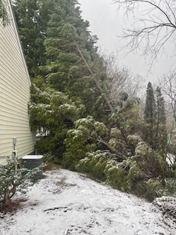 Storm-damaged tree removed from a property in the Triad