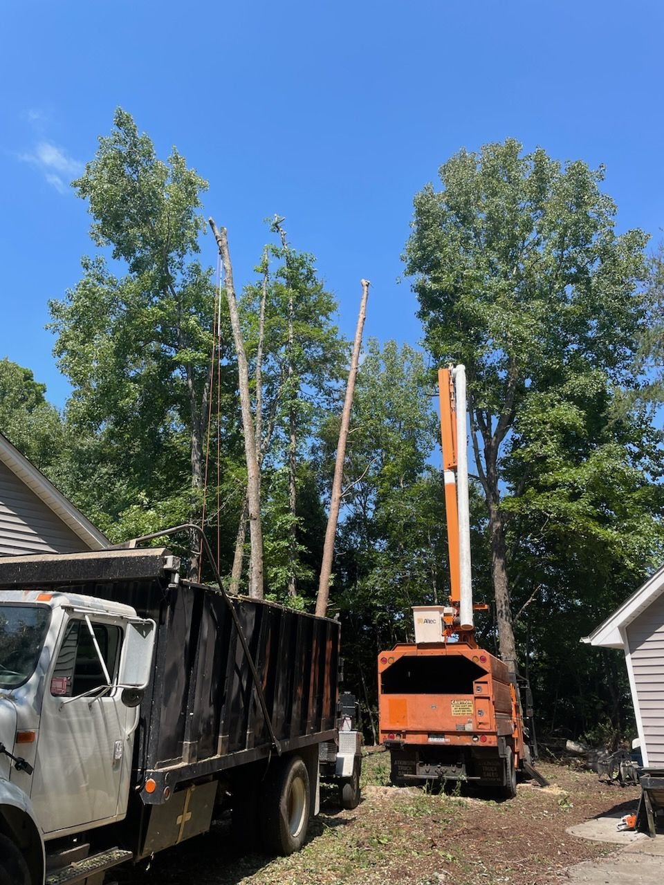 Bucket truck positioned to take a tree down in sections beside a house
