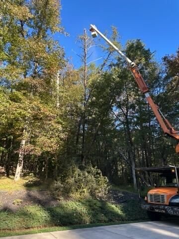 Bucket boom reaching toward a tall topped spar across the driveway from a wooded yard