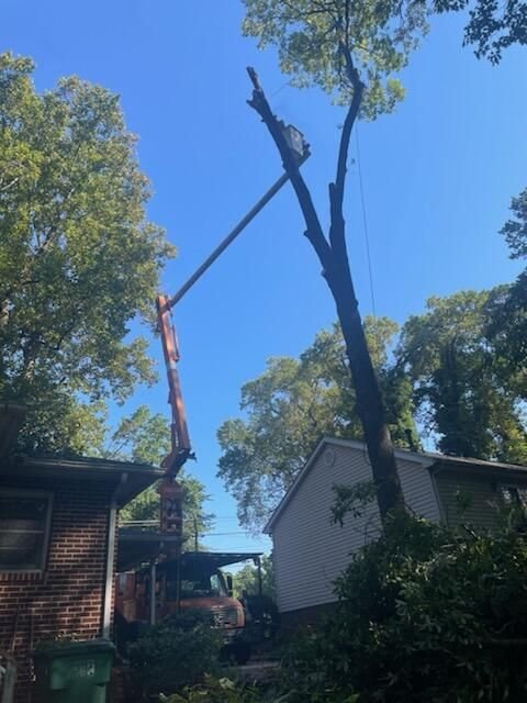 Crane boom extended over the roof of a house to reach a tall spar between two buildings