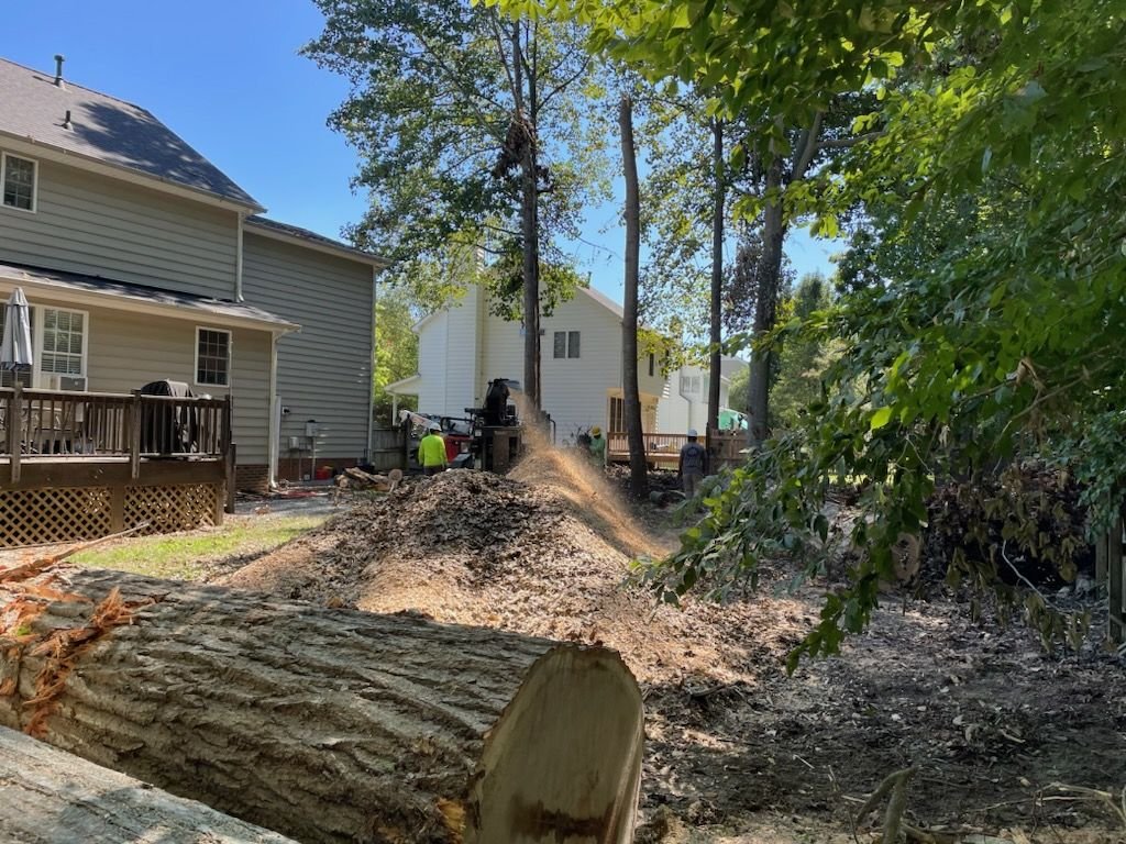 Freshly cut trunk in the foreground with a sawdust pile and crew working near the house