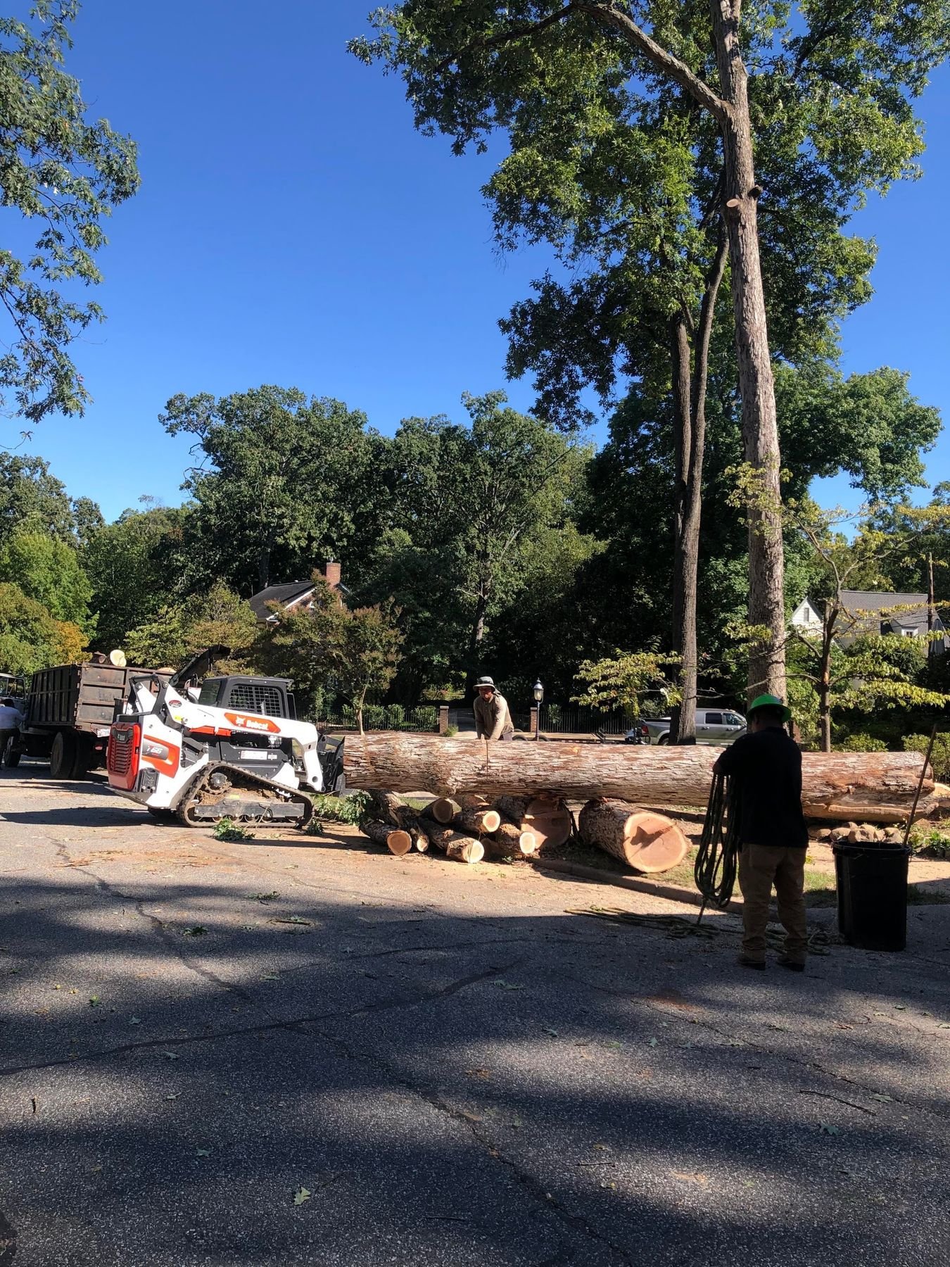 Large trunk sections laid out along a residential street with a skid steer and crew alongside