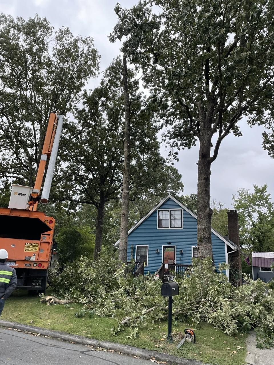 Two topped trees with bare stubbed crowns beside a blue house, bucket truck at the curb